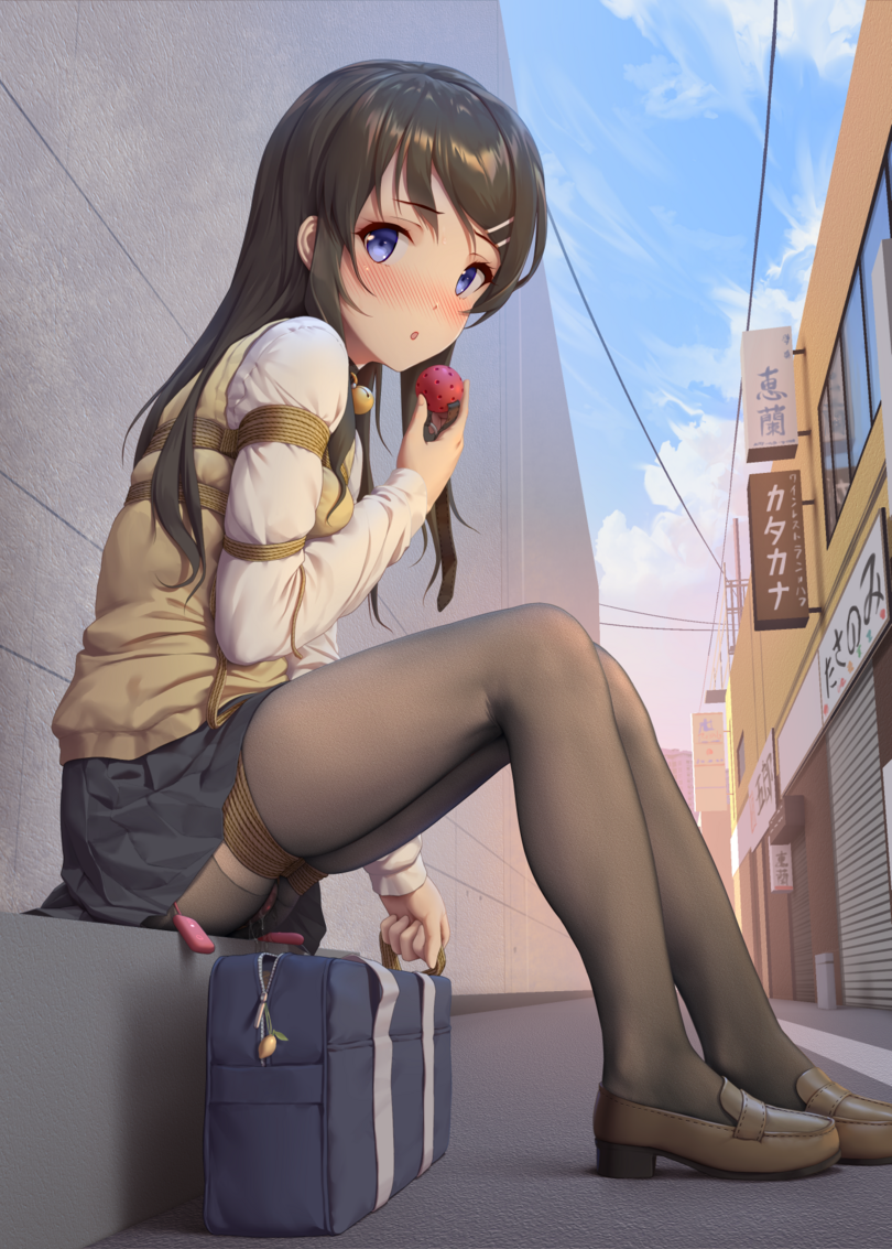 Anime sakurajima mai seishun buta yarou 6357255 1